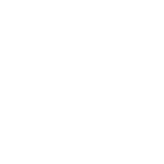 腐植土地盤に適用できる